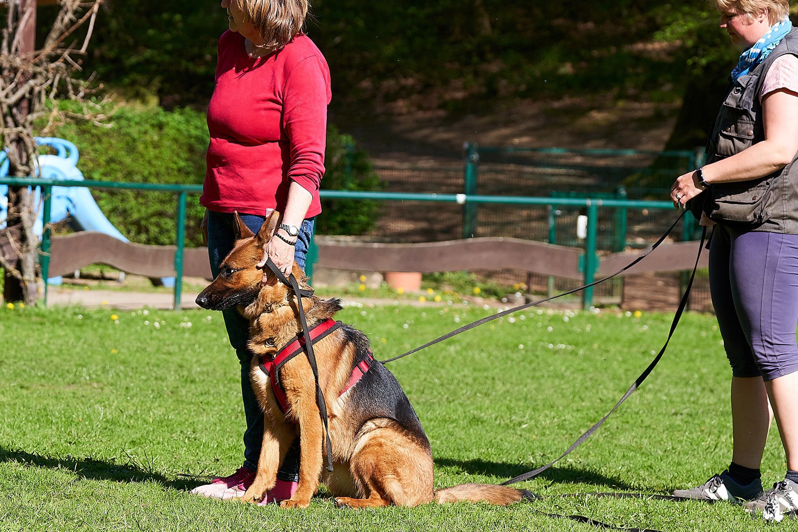 Unsere Hunde PRT02469 Schutz 19 04 25